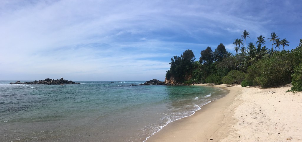 Palm cove on the south coast