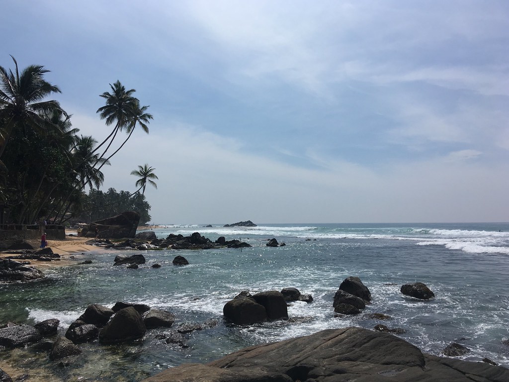Palms and rock pools between Mirissa and Weligama