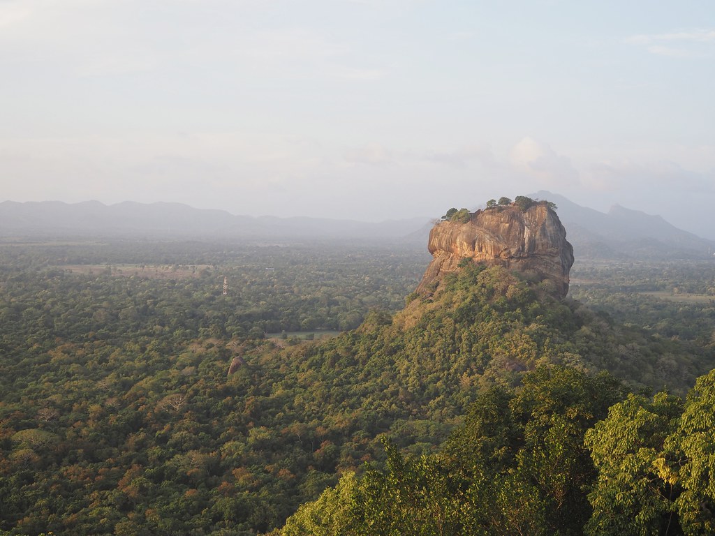Sigiriya Rock glowing at golden hour, seen from Pidurangala