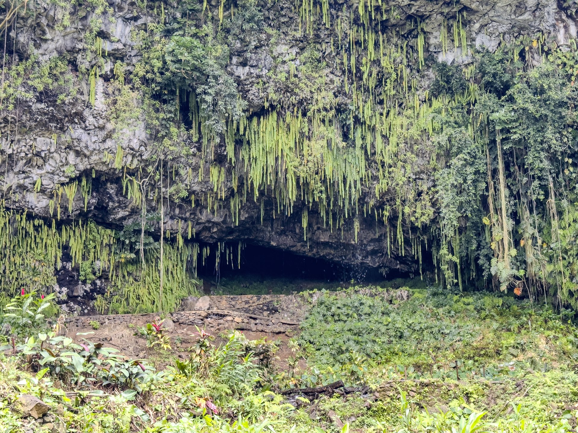 Belilena Cave, Kitulgala cover photo