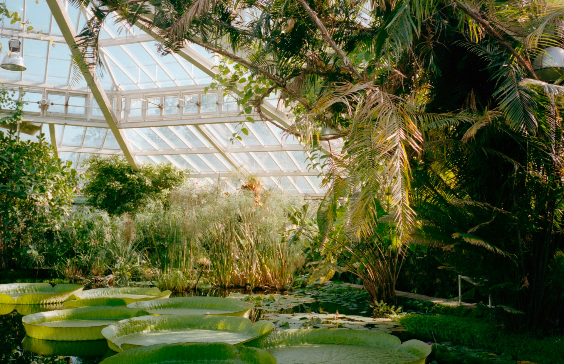 Henarathgoda Botanical Garden cover photo