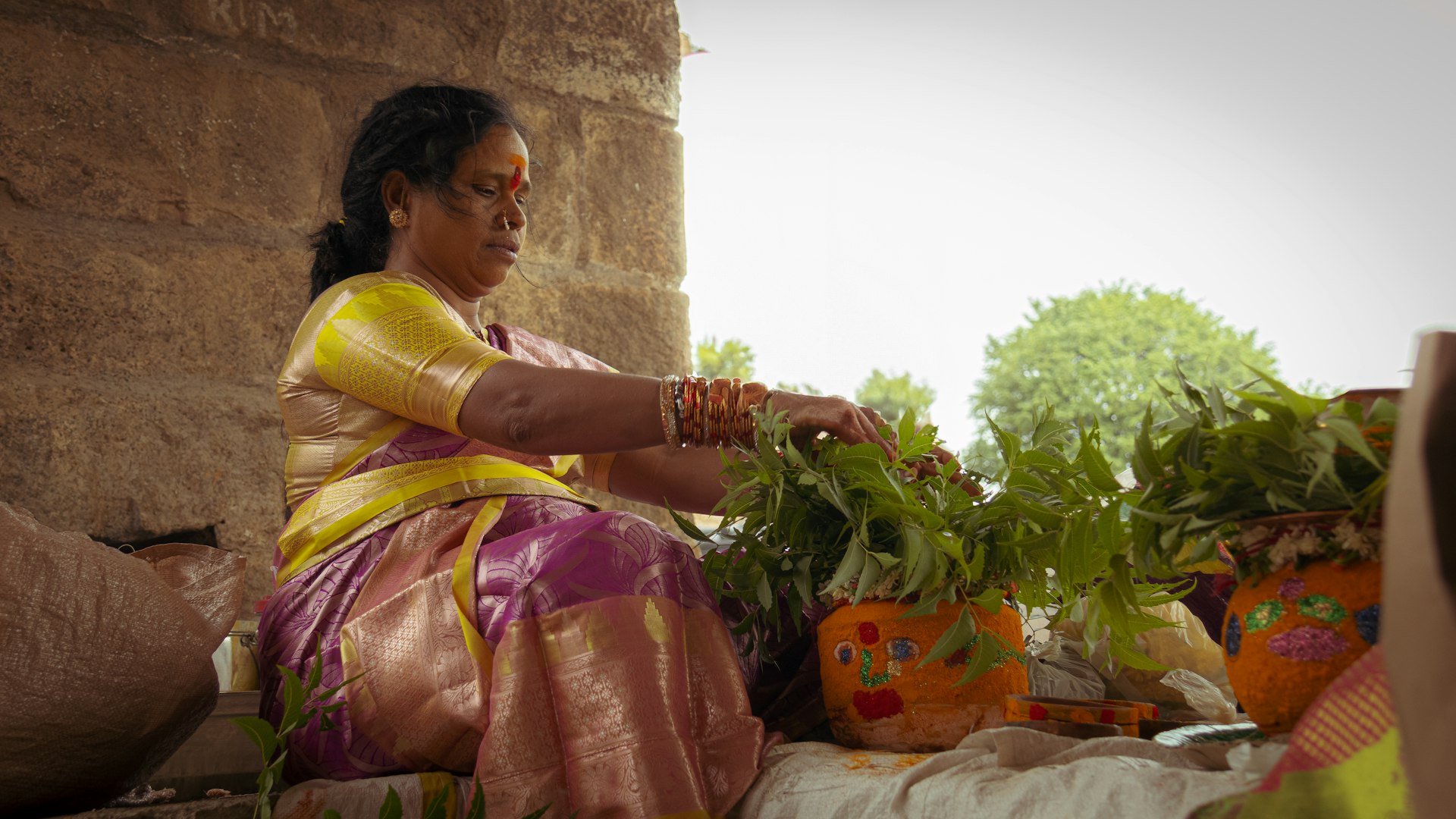 Matale Spice and Herbal Gardens cover photo