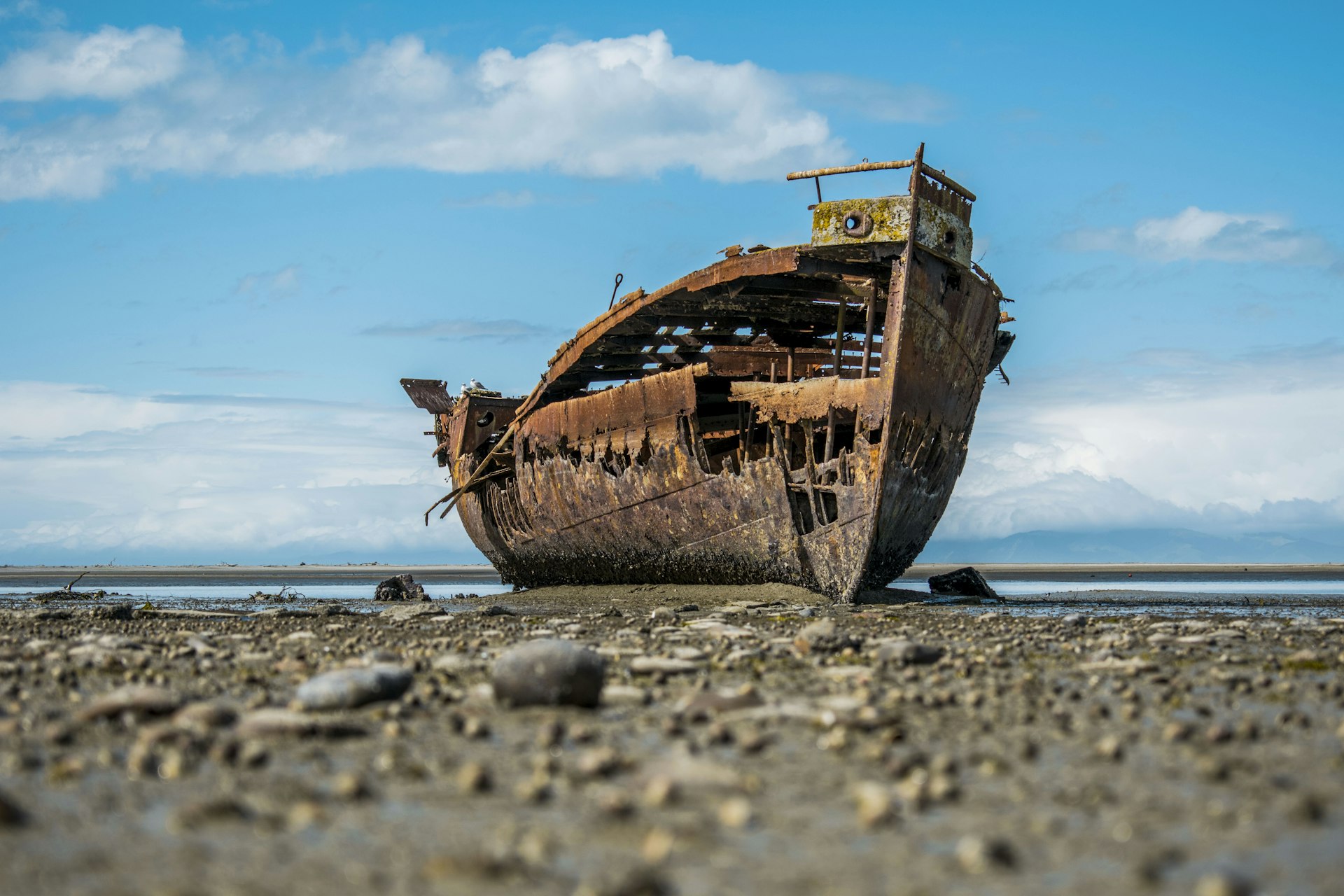 Sea Tiger Submarine Yard cover photo