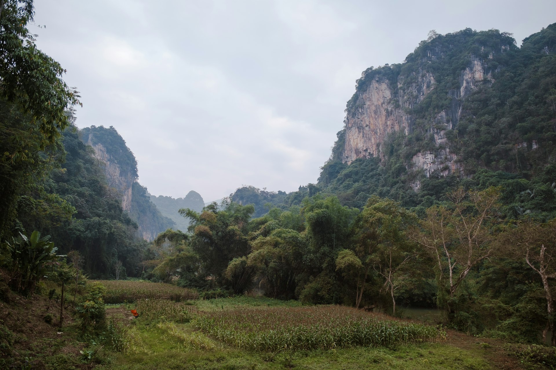 Udawatta Kele Sanctuary cover photo