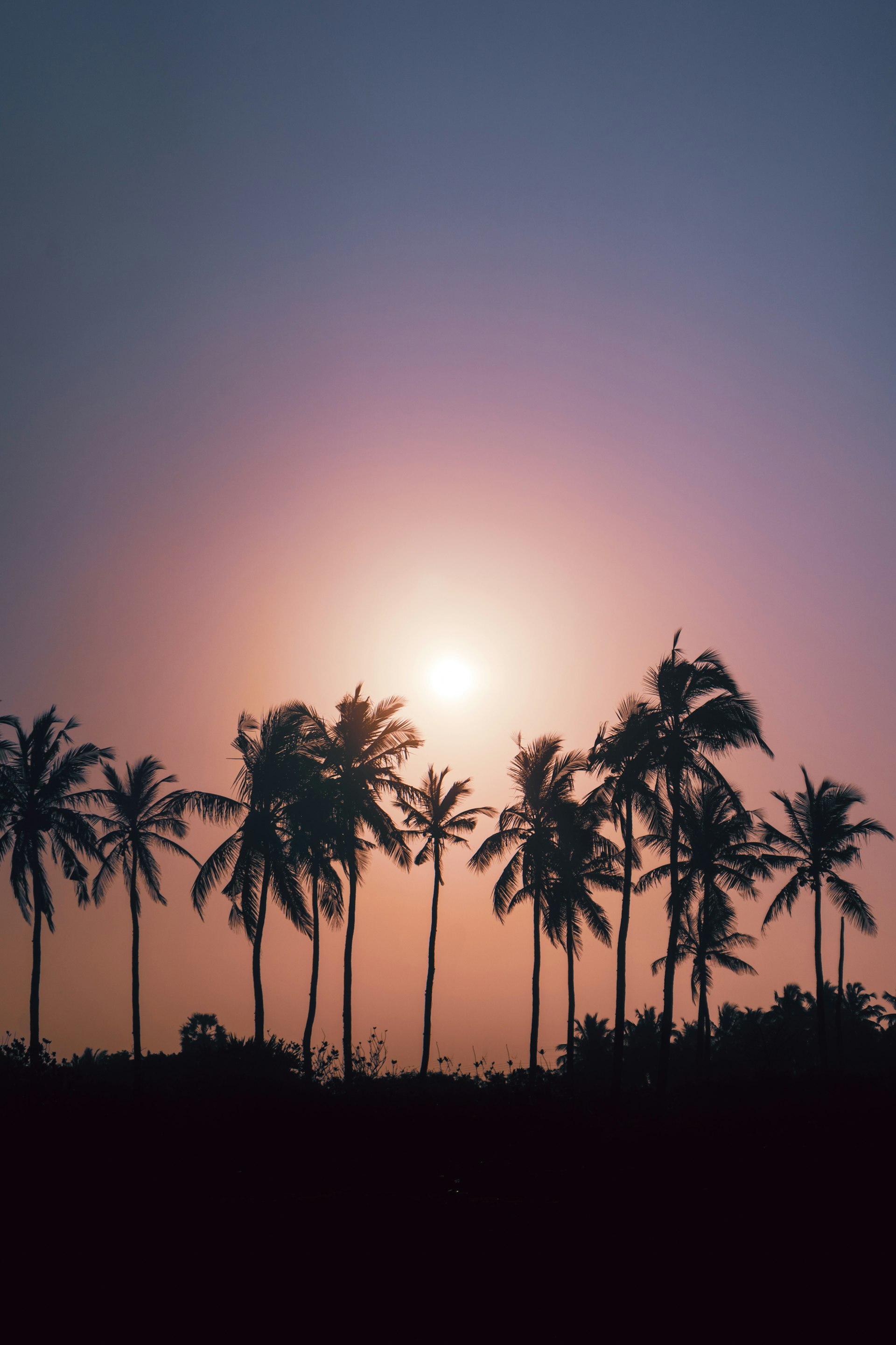 North Western Province Essentials: Scams, Beaches, Food, Gyms, Views cover illustration
