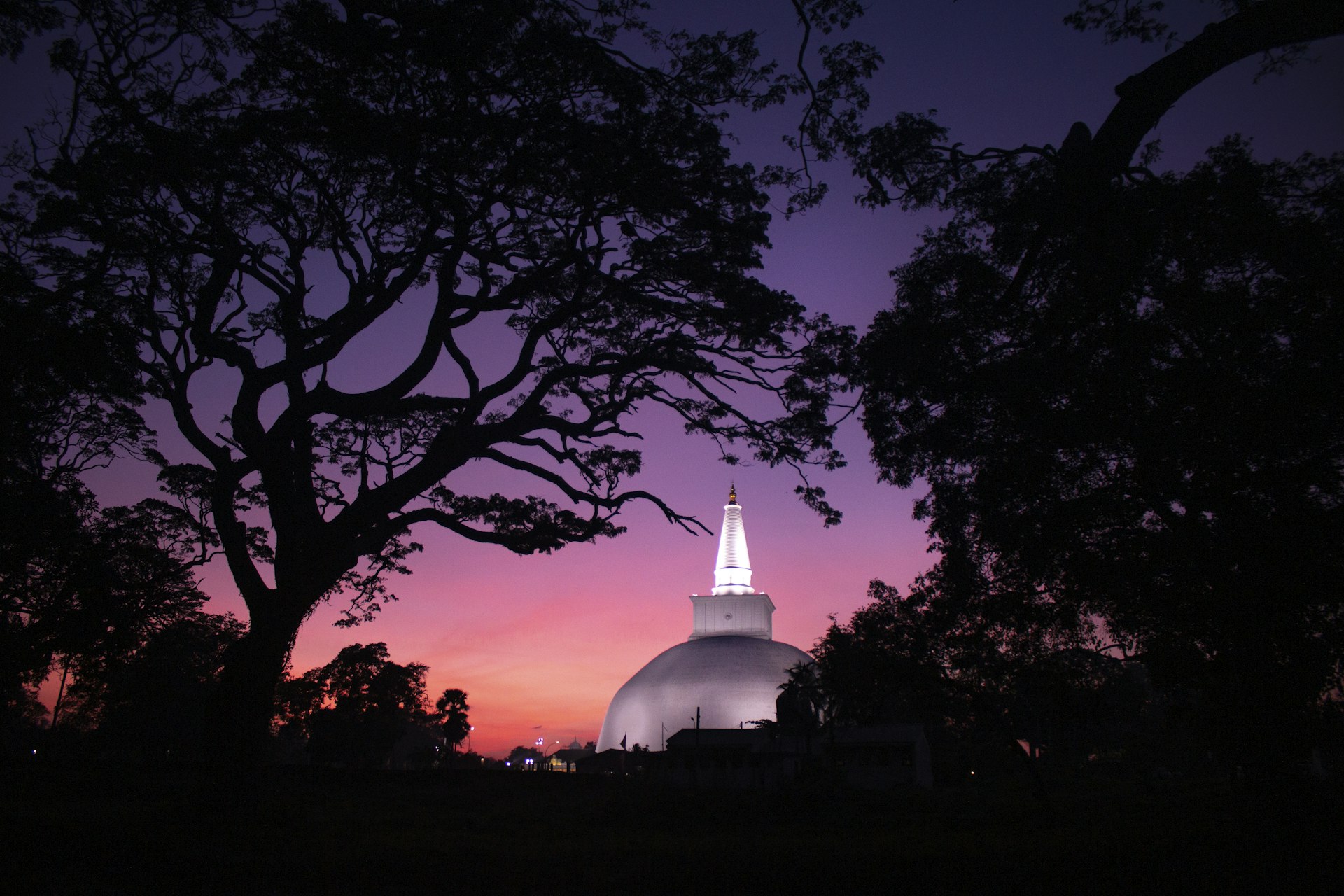 Abhayagiri Monastery Complex and Museum cover photo