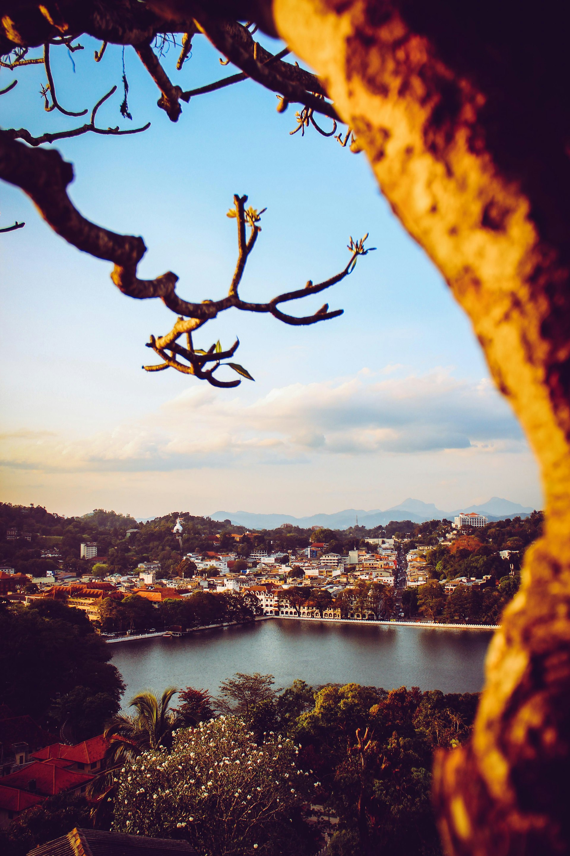 Kandy View Point (Arthur's Seat) — Kandy Travel Guide cover illustration