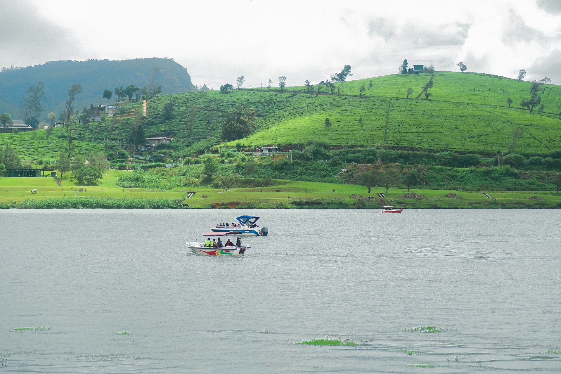 Lake Gregory cover photo